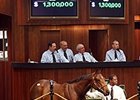 Hip 230 by Malibu Moon sold for $1.3 million.