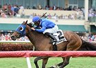 Anjaz comes home strong to win the Orchid Stakes at Gulfstream Park.<br><a target="blank" href="http://photos.bloodhorse.com/AtTheRaces-1/At-the-Races-2014/35724761_2vdnSX#!i=3149118503&k=CNvGFZr">Order This Photo</a>