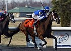 Aurelia's Belle flies home to win the Bourbonette Oaks at Turfway Park.