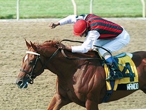 Wando, 2003 Canadian Horse of the Year, Dies