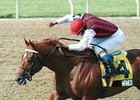 2003 Canadian Horse of the Year Wando