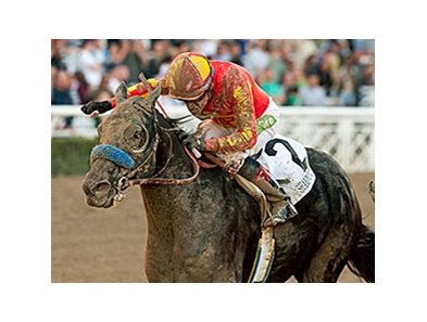 Malibu winner Shakin It Up faces 7 in the Strub.