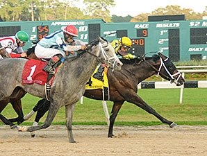 Vinceremos Upsets Stablemate in Sam F. Davis Vinceremos Upsets Stablemate in Sam F. Davis