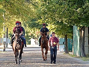 Belisarius Scratched From Secretariat Stakes Belisarius Scratched From Secretariat Stakes