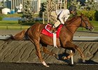Kaigun, Grand Arch Clash in Woodbine Mile Kaigun, Grand Arch Clash in Woodbine Mile