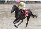 Condo Commando wins the Spinaway Stakes.
<br><a target="blank" href="http://photos.bloodhorse.com/AtTheRaces-1/At-the-Races-2014/i-ZqK7bpp">Order This Photo</a>