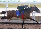 Hip No. 4, a colt by Super Saver--Rateeba, by Sky Mesa.