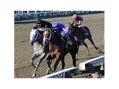 Corfu, inside, during the Saratoga Special.
<br><a target="blank" href="http://photos.bloodhorse.com/AtTheRaces-1/at-the-races-2013/27257665_QgCqdh#!i=2694243728&k=8Wq6sdT">Order This Photo</a>