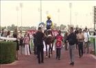 Shea Shea (SAF) wins the Meydan Sprint Shea Shea (SAF) wins the Meydan Sprint