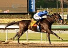 Points Offthebench in the Santa Anita Sprint Championship.