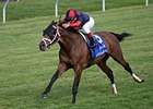 Unitarian flies home to win the Dixiana Elkhorn Stakes.<br><a target="blank" href="http://photos.bloodhorse.com/AtTheRaces-1/At-the-Races-2014/i-K9RVd4W">Order This Photo</a>