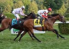 Big Blue Kitten comes on late to win the Lure Stakes.<br><a target="blank" href="http://photos.bloodhorse.com/AtTheRaces-1/At-the-Races-2014/i-xvvBNKn">Order This Photo</a>
