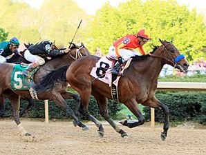 Secret Circle Hands Baffert Another Rebel Win Secret Circle Hands Baffert Another Rebel Win