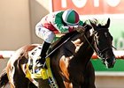 Hollendorfer Duo Part of Even Yellow Ribbon Hollendorfer Duo Part of Even Yellow Ribbon