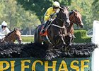 Demonstrative<br><a target="blank" href="http://photos.bloodhorse.com/AtTheRaces-1/At-the-Races-2014/i-fJScGFf">Order This Photo</a>