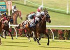 The Del Mar Turf Course