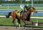 Wildcat Red takes on 13 in the Oklahoma Derby.<br><a target="blank" href="http://photos.bloodhorse.com/AtTheRaces-1/At-the-Races-2014/i-zt2MSMm">Order This Photo</a>