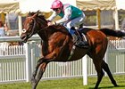 Kingman won the 2014 St. James's Palace Stakes <br><a target="blank" href="http://photos.bloodhorse.com/AtTheRaces-1/At-the-Races-2014/i-VMCTK6V">Order This Photo</a>