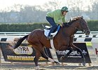 Three Derby Contenders Work in New York Three Derby Contenders Work in New York