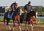 D. Wayne Lukas<br><a target="blank" href="http://photos.bloodhorse.com/TripleCrown/2013-Triple-Crown/Belmont-Stakes-145/29744699_jpqpwR#!i=2557234628&k=jwnVH56">Order This Photo</a>