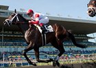 We Miss Artie wins the Woodbine Plate Trial Stakes.