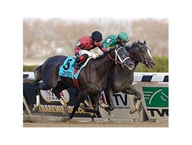 Honor Code
<br><a target="blank" href="http://photos.bloodhorse.com/AtTheRaces-1/at-the-races-2013/27257665_QgCqdh#!i=2940292124&k=txTnRFW">Order This Photo</a>