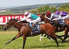 Kingman wins the 2014 QIPCO Sussex Stakes. <br><a target="blank" href="http://photos.bloodhorse.com/AtTheRaces-1/At-the-Races-2014/i-gTW8HKR">Order This Photo</a>