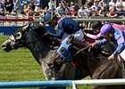 Excaper Proves Best in Tight Connaught Cup Excaper Proves Best in Tight Connaught Cup