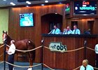 Carpe Diem at the OBS March Sale.