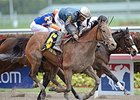 Rampart Stakes winner Gamay Noir faces 7 in the Obeah.<br><a target="blank" href="http://photos.bloodhorse.com/AtTheRaces-1/At-the-Races-2014/35724761_2vdnSX#!i=3155827374&k=DqP33jz">Order This Photo</a>