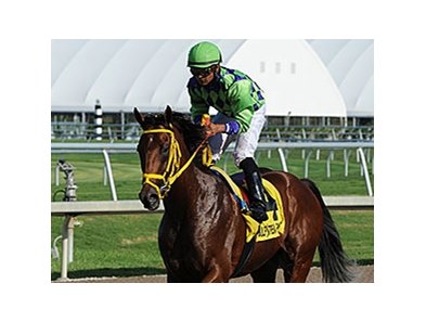 Wildcat Red
<br><a target="blank" href="http://photos.bloodhorse.com/AtTheRaces-1/At-the-Races-2014/i-DTMvTmK">Order This Photo</a>