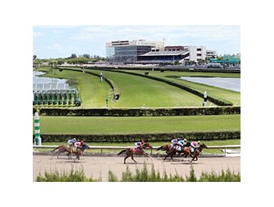 Calder Race Course