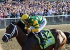 Palace Malice<br><a target="blank" href="http://photos.bloodhorse.com/TripleCrown/2013-Triple-Crown/Belmont-Stakes-145/29744699_jpqpwR#!i=2563007502&k=SzzhQgN">Order This Photo</a>