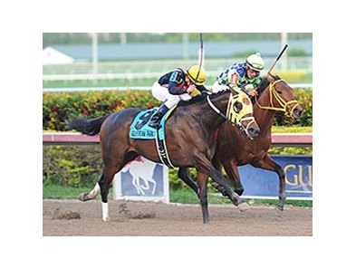 General a Rod won the 2014 Gulfstream Park Derby. <br><a target="blank" href="http://photos.bloodhorse.com/AtTheRaces-1/At-the-Races-2014/35724761_2vdnSX#!i=3000113139&k=vzzgNL6">Order This Photo</a>