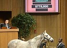 Ponche de Leona, dam of 2013 Breeders' Cup Classic (gr. I) winner Mucho Macho Man, brought $775,000 as the high point Tuesday at the sale in Lexington.