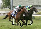 Margano fights off Holiday Star to win the PTHA President's Cup Stakes.