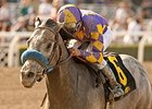 Kobe's Back will face Puerto Rican powerhouse Tonito M. in the Lazaro Barrera Stakes.