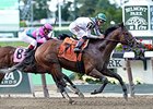 Palace won the 2014 True North Stakes.<br><a target="blank" href="http://photos.bloodhorse.com/AtTheRaces-1/At-the-Races-2014/i-LxhP94z">Order This Photo</a>