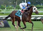 Strong Mandate <br><a target="blank" href="http://photos.bloodhorse.com/AtTheRaces-1/at-the-races-2013/27257665_QgCqdh#!i=2740033901&k=6X9mqkB">Order This Photo</a>