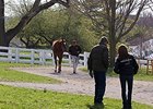 Keeneland April 2-year-olds in training sale.