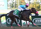 Miss Behaviour Could Act Up in Victory Ride Miss Behaviour Could Act Up in Victory Ride