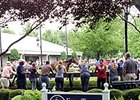 Fasig-Tipton Kentucky July 2014 Sale Wrap Fasig-Tipton Kentucky July 2014 Sale Wrap