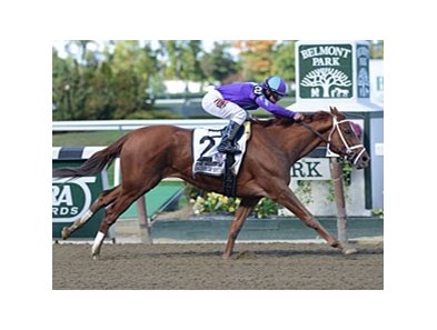 Princess Of Sylmar
<br><a target="blank" href="http://photos.bloodhorse.com/AtTheRaces-1/at-the-races-2013/27257665_QgCqdh#!i=2796911180&k=mBMHFhz">Order This Photo</a>