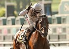 Majestic Harbor Shocks Gold Cup Majestic Harbor Shocks Gold Cup