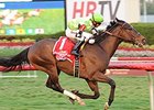 Lochte is scheduled to seek his fourth straight stakes victory in the Fort Lauderdale Stakes.
<br><a target="blank" href="http://photos.bloodhorse.com/AtTheRaces-1/At-the-Races-2014/35724761_2vdnSX#!i=3067652098&k=LkfxrJw">Order This Photo</a>