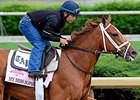 My Miss Sophia
<br><a target="blank" href="http://photos.bloodhorse.com/TripleCrown/2014-Triple-Crown/Kentucky-Derby-Workouts/i-Ffzp6mX">Order This Photo</a>