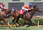 Got Shades did all his running on the turf in 2013.
<br><a target="blank" href="http://photos.bloodhorse.com/AtTheRaces-1/at-the-races-2013/27257665_QgCqdh#!i=2750196911&k=CKGGgz5">Order This Photo</a>