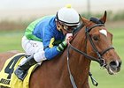 Grand Contender will carry high weight of 121 pounds in the Lone Star Park Handicap.