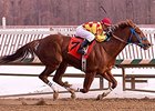 Winning Image