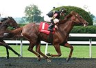 Judy the Beauty takes on 4 in the Las Flores Stakes.